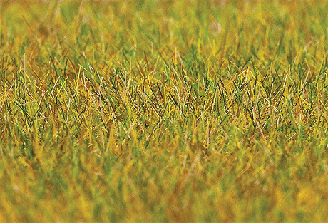 Static Grass 1.06oz  30g -- Meadow 1/4"  .6cm Fibers