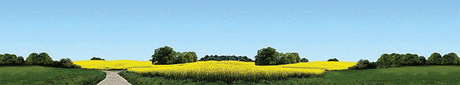 Ostholstein Background Scene -- 106-1/4 x 19-11/16"  270 x 50cm
