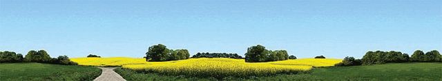 Ostholstein Background Scene -- 106-1/4 x 19-11/16"  270 x 50cm