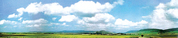 Background Scene - 153 x 25-9/16"  388 x 65cm -- Black Forest Baar Extention