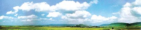 Background Scene - 153 x 25-9/16"  388 x 65cm -- Black Forest Baar Extention