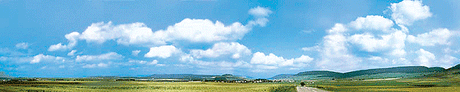 Schwarzwald-Baar Background Scene -- 12'9" x 26"  388 x 65cm