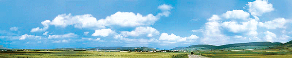 Schwarzwald-Baar Background Scene -- 12'9" x 26"  388 x 65cm