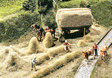Hay Harvest -- Kit