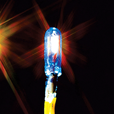 12-16V Grain Of Wheat Bulb -- Blue