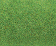 Light Green Ground Cover Mat -- 39-3/8 x 29-1/2"  100 x 75cm-1