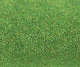 Light Green Ground Cover Mat -- 39-3/8 x 29-1/2"  100 x 75cm-1