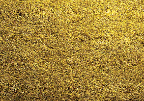 Mini Ground Mat - Wild Grass -- Light Green