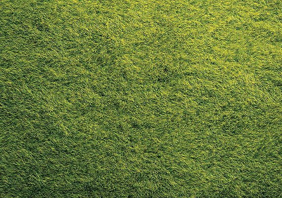 Mini Ground Mat - Wild Grass -- Dark Green