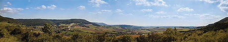 Sauschwanzlebahn Printed Background Scene -- 106-5/16 x 19-11/16"  270 x 50cm