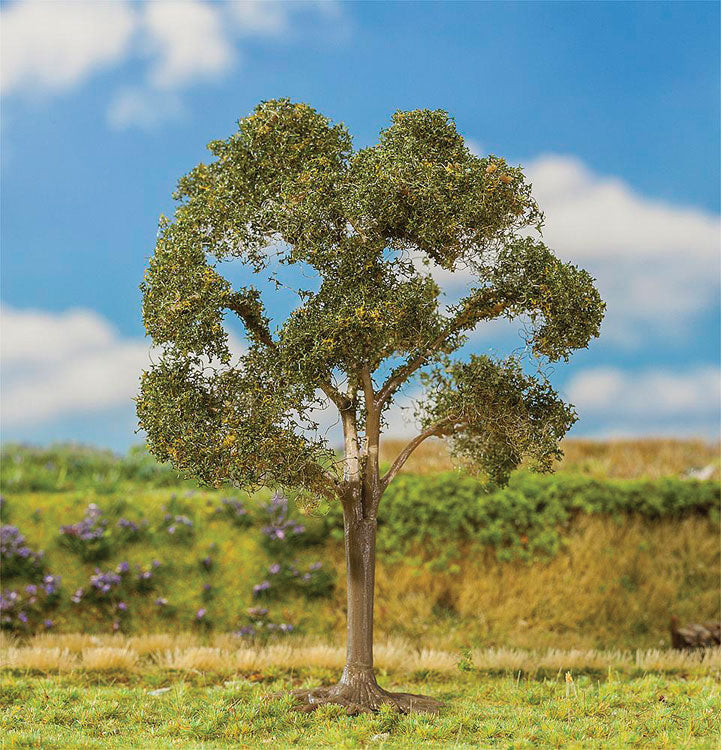 Premium Mountain Ash Tree -- 5-1/2"  14cm