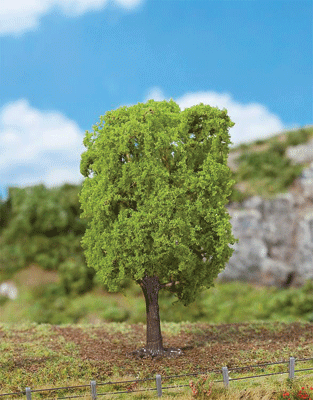 Early Summer Linden Tree - Premium -- 5-1/2"  14cm