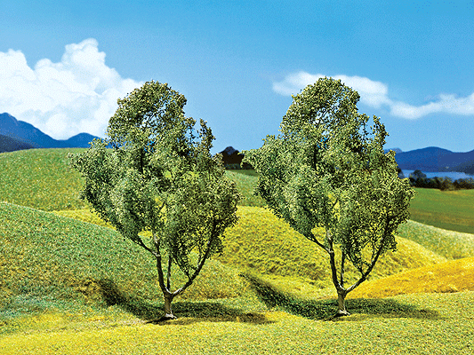 Small Alder Tree -- 3-3/16"  8cm pkg(2)