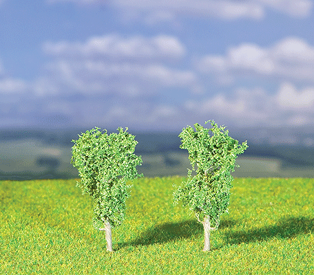 Premium Trees Hazel Shrub -- 2"  5cm pkg(2)