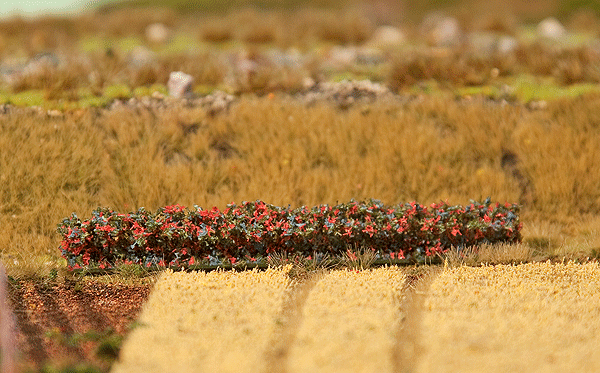 Premium Hedge -- Red Blossoms 2-1/2 x 9/16 x 1/2"  10 x 1.5 x 1.2cm