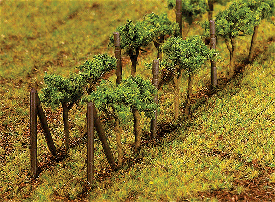 Vines pkg(24)