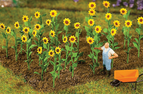 Sunflowers -- pkg(16)
