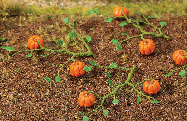Gourds/Squash Vines -- Orange  pkg(6)