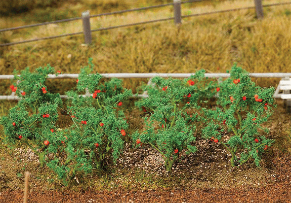 Tomato Plants -- pkg(18)