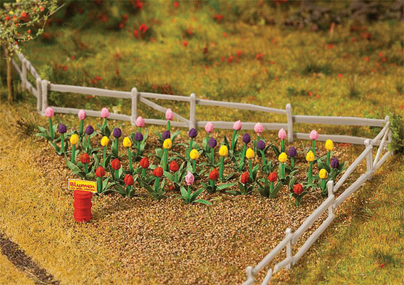 Tulips -- pkg(48)