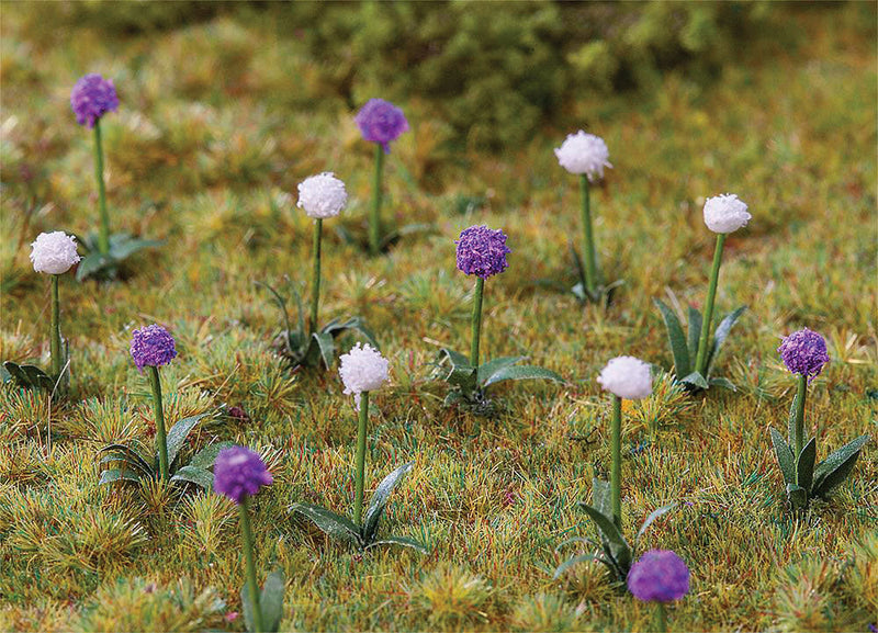 Giant Ornamental Onions -- pkg(28)
