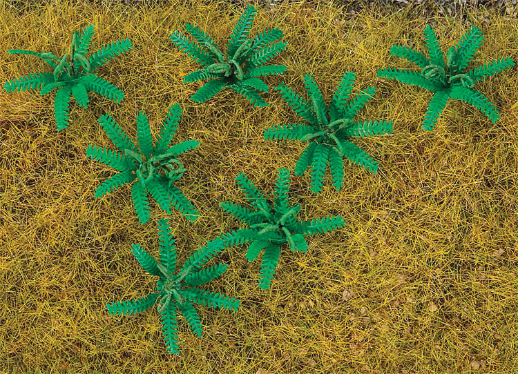 Ferns -- pkg(12)