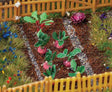Turnips -- Kit pkg(18)