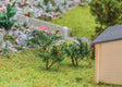 Blueberry & Red Currant Shrubs pkg(12)