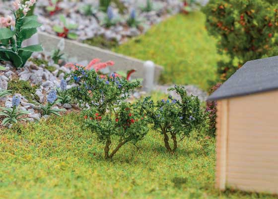 Blueberry & Red Currant Shrubs pkg(12)