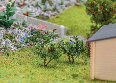 Blueberry & Red Currant Shrubs pkg(12)