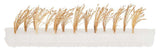 Reed Bundles -- pkg(22)-2