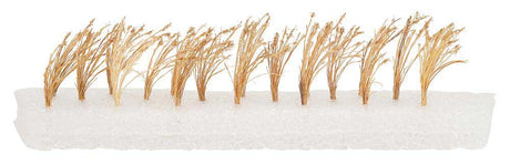 Reed Bundles -- pkg(22)-2