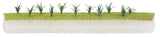 Leeks -- pkg(20)-2