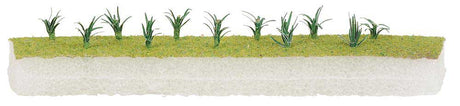 Leeks -- pkg(20)-2