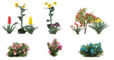 Front Yard Flowers -- pkg(10)-2