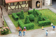 Boxwood Hedge Set-1