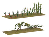 Vegetable and Fruit Garden -- 2 Garden Plots-2