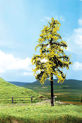 Premium Larches -- 6"  15cm pkg(2)