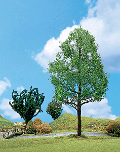 Premium White Poplar Tree -- 7-1/8"  18cm