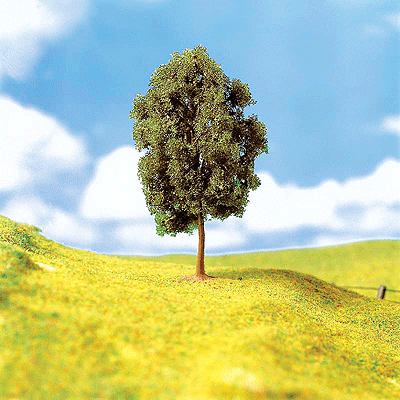 Premium Deciduous Trees -- Rowan pkg(3) 3-3/16"  8cm