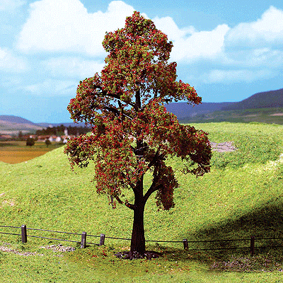 Premium Trees -- Rowan/Mountain Ash w/Fruit 14cm