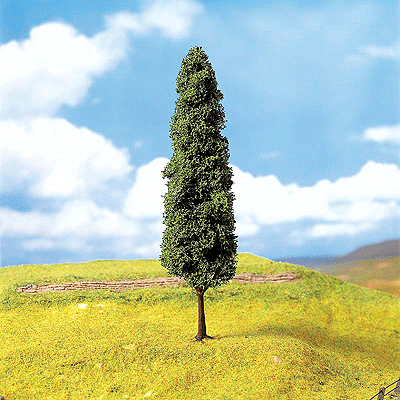 Premium Deciduous Trees -- Swamp Cypress pkg(3) 7-3/16"  18cm