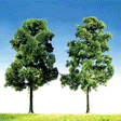 Top Series Trees -- Beech - 7-1/8"  18cm pkg(2)