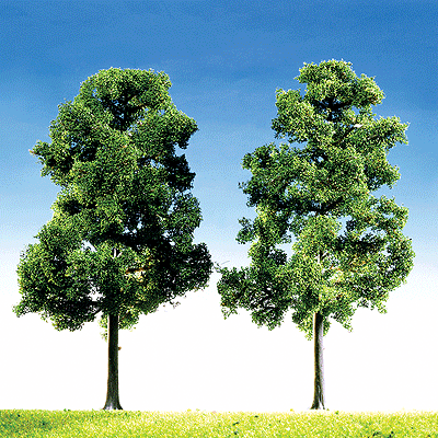 Top Series Trees -- Beech - 7-1/8"  18cm pkg(2)
