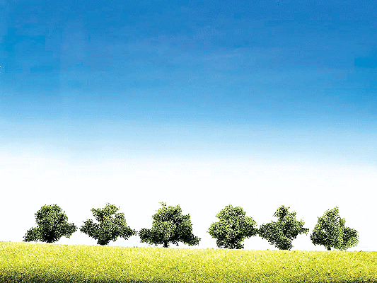 Top Series Trees -- Shrubs - 1-1/8"  3cm pkg(6)