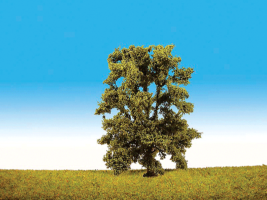 Top Series Trees -- Ash - 6"  15cm