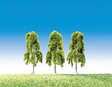 Weeping Birches -- 3-1/2"  9cm pkg(3)