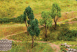 Mixed Deciduous Trees -- pkg(4)