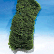 Foliage -- Dark-Green