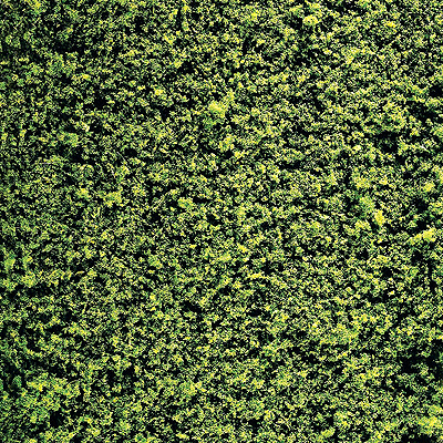 Foliage Ground Cover -- Medium Green